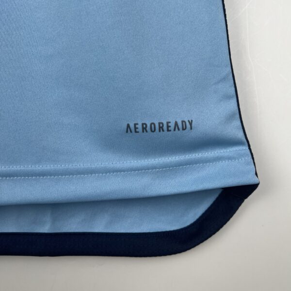 Camiseta Osasuna 2024/25 Tercera — detalle