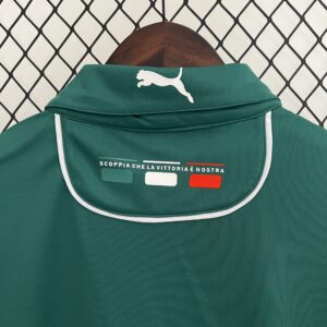 Camiseta Palmeiras 2024 Edición Especial — detalle