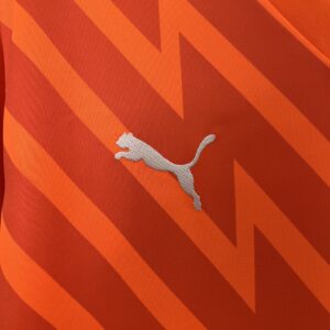 Camiseta Palmeiras 2024 Arquero — detalle