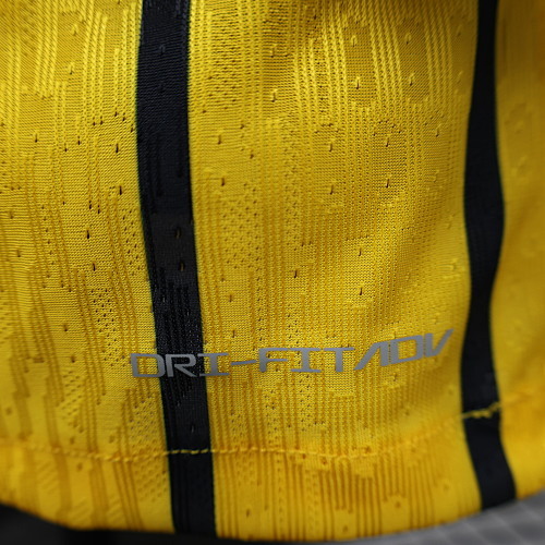 Camiseta Brighton & Hove Albion 2023/24 Tercera - detalle