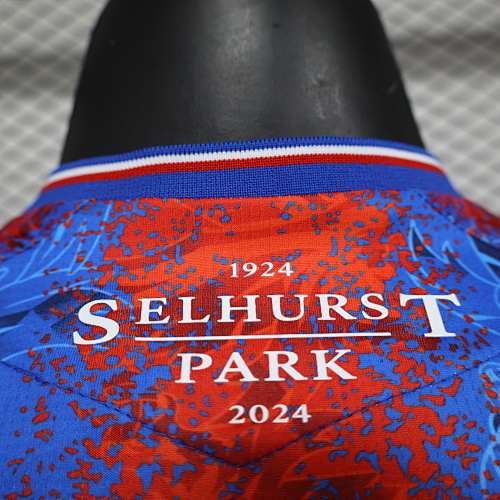 Camiseta Crystal Palace 2023/24 Local - detalle