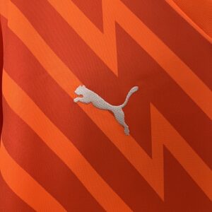 Camiseta Palmeiras 2024 Arquero — detalle