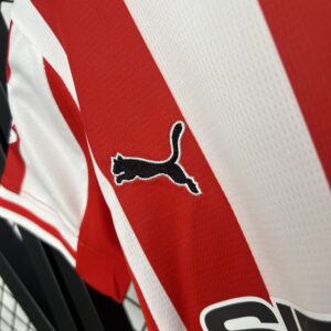Camiseta Real Sporting de Gijón 2023/24 Local — detalle
