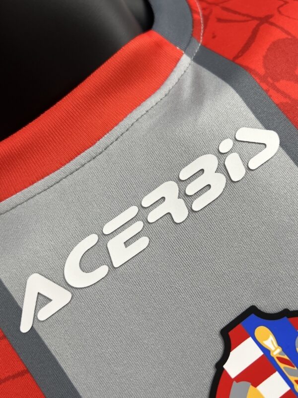Camiseta Cremonese 2023/24 Local - detalle