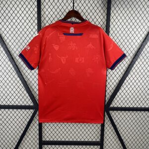 Camiseta Osasuna 2023/24 Local — detalle del estampado sublimado