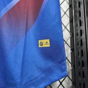 Camiseta Bahia 2023/24 Visita — detalle