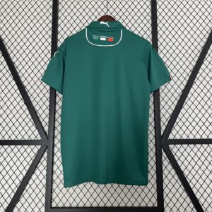 Camiseta Palmeiras 2024 Edición Especial — detalle