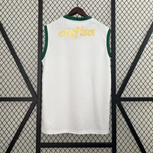 Camiseta Palmeiras 2024 Visita — detalle