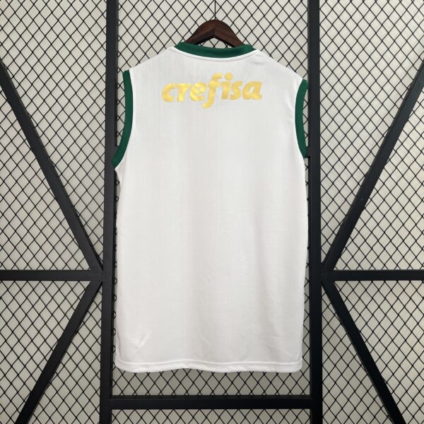 Camiseta Palmeiras 2024 Visita — detalle