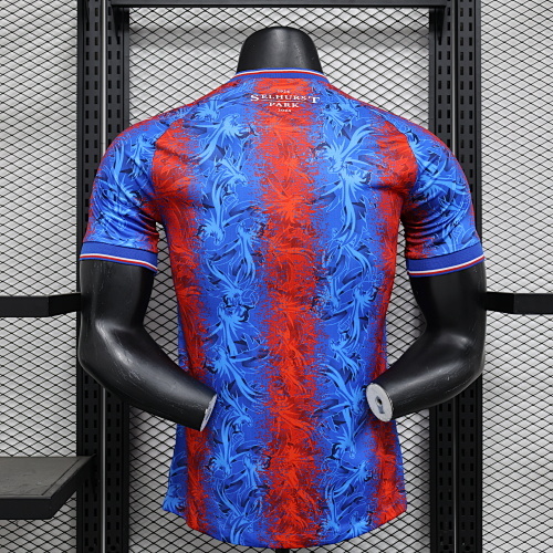 Camiseta Crystal Palace 2023/24 Local - detalle