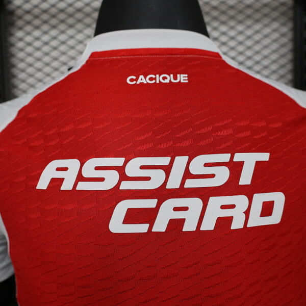 Camiseta Colo Colo 2024/25 Tercera - detalle