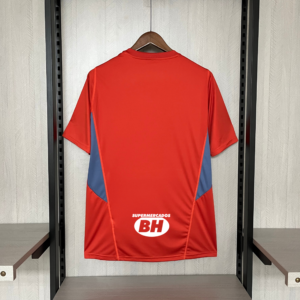 Camiseta Cruzeiro 2024 Entrenamiento — detalle pecho
