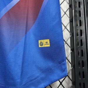 Camiseta Bahia 2023/24 Visita — detalle