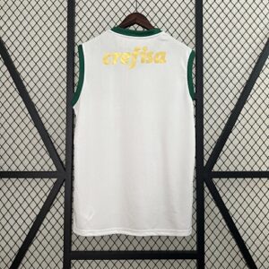 Camiseta Palmeiras 2024 Visita — detalle