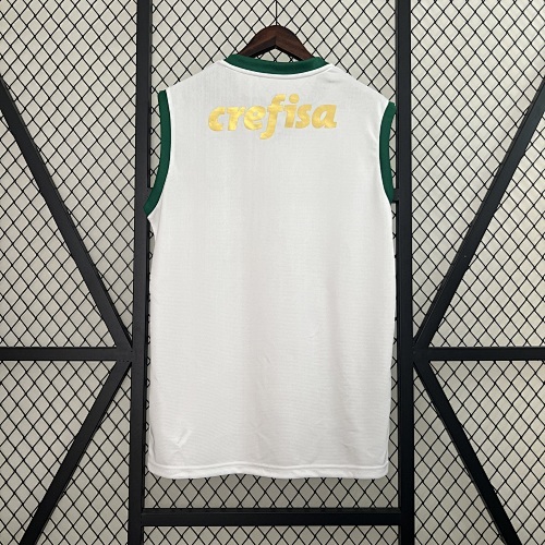 Camiseta Palmeiras 2024 Visita — detalle