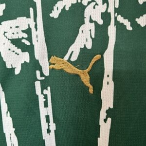 Camiseta Palmeiras 2023 Edición Especial — detalle del color verde principal