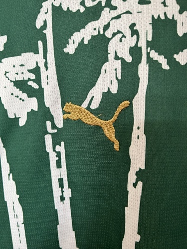 Camiseta Palmeiras 2023 Edición Especial — detalle del color verde principal