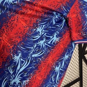 Camiseta Crystal Palace 2023 Local - detalle
