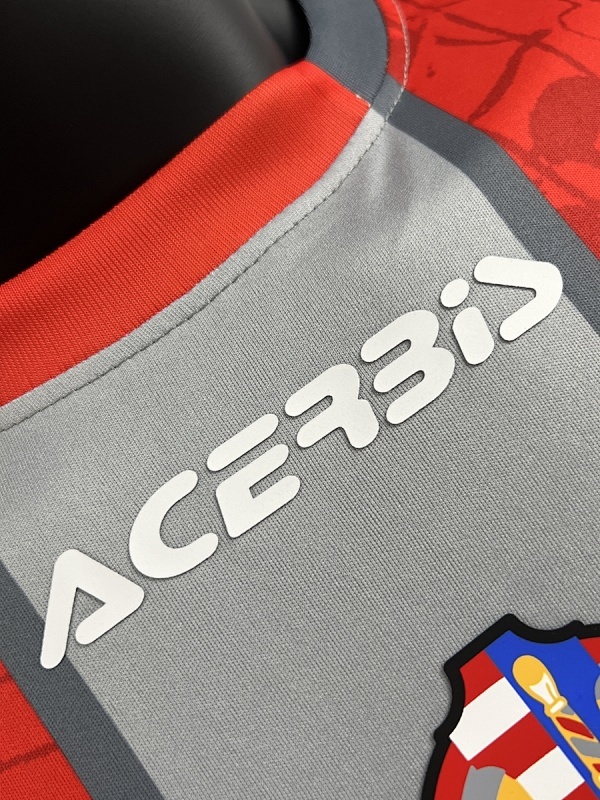 Camiseta Cremonese 2023/24 Local - detalle