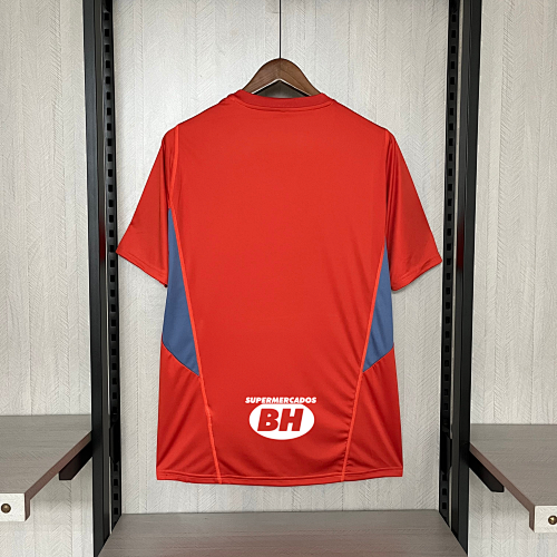 Camiseta Cruzeiro 2024 Entrenamiento — vista artística