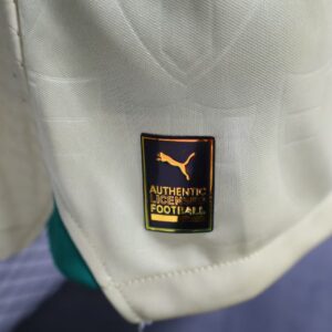 Camiseta Palmeiras 2023 Tercera — detalle
