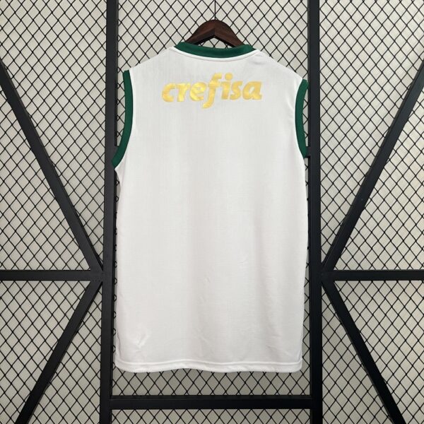 Camiseta Palmeiras 2024 Visita — detalle