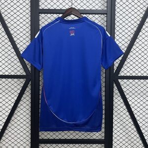 Camiseta Universidad de Chile 2023/24 Tercera - detalle