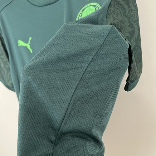Camiseta Palmeiras 2021 Tercera