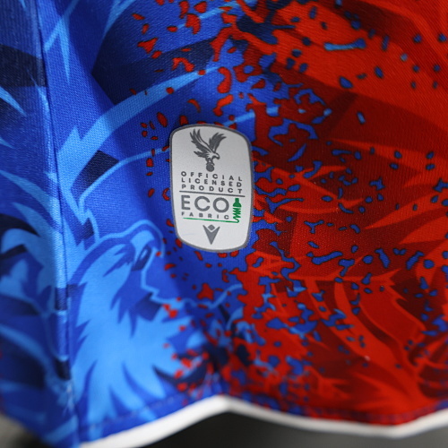 Camiseta Crystal Palace 2023/24 Local - detalle