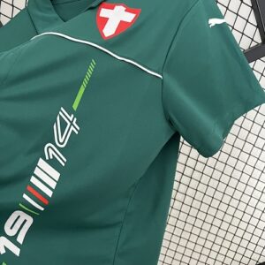 Camiseta Palmeiras 2024 Edición Especial — detalle