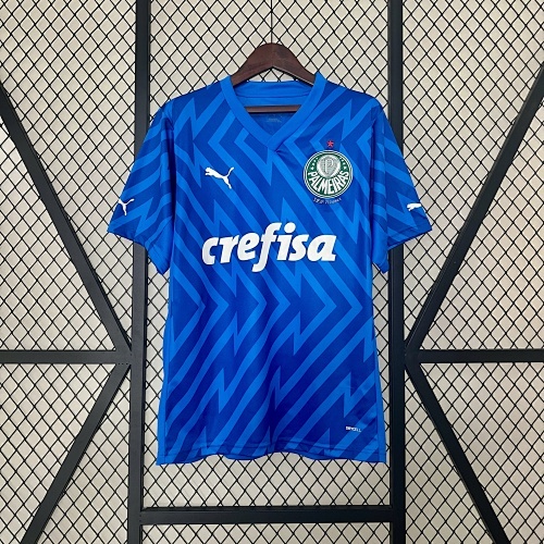 Camiseta Palmeiras 2024 Arquero — detalle