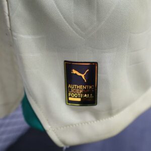 Camiseta Palmeiras 2023 Tercera — detalle