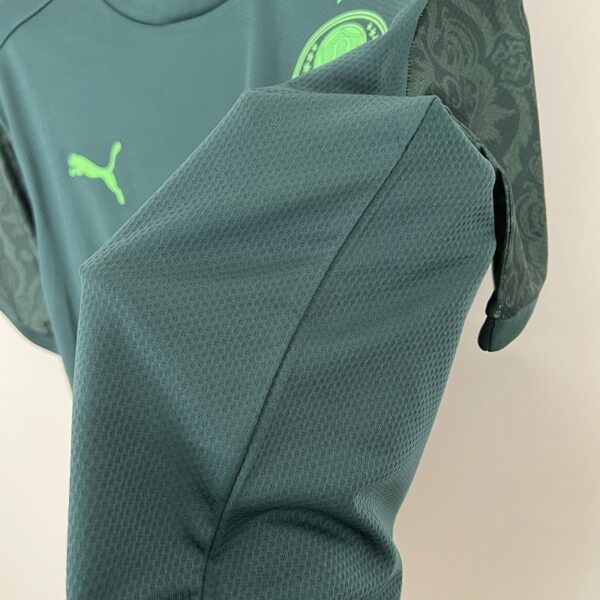 Camiseta Palmeiras 2021 Tercera