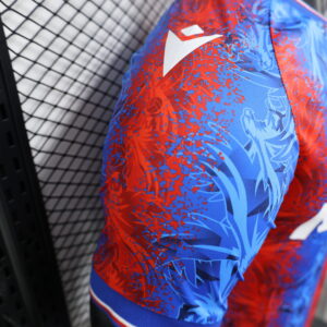 Camiseta Crystal Palace 2023/24 Local - detalle