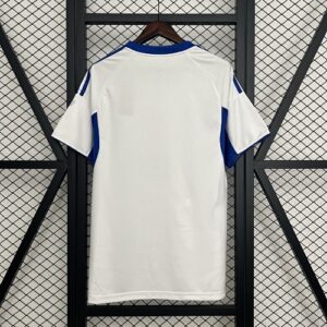 Camiseta Schalke 04 2023/24 Visita - detalle
