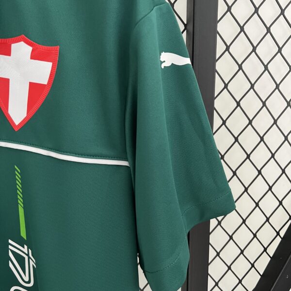 Camiseta Palmeiras 2024 Edición Especial — detalle
