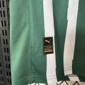 Camiseta Palmeiras 2023 Edición Especial — detalle de la combinación de colores