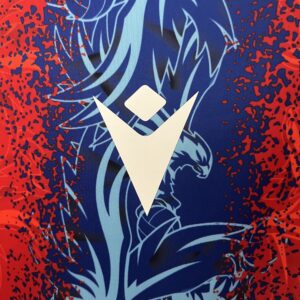 Camiseta Crystal Palace 2023 Local - detalle