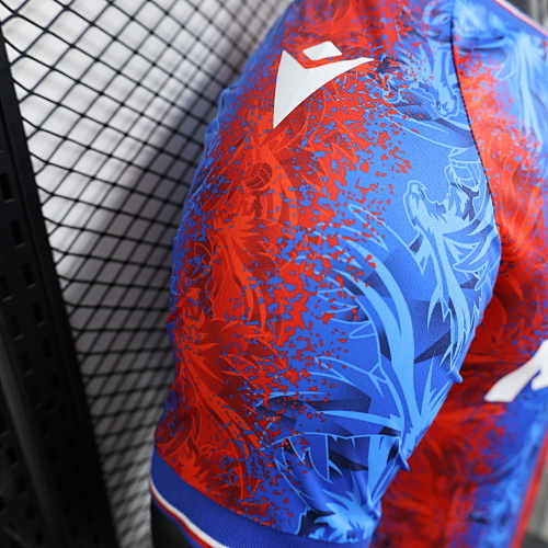 Camiseta Crystal Palace 2023/24 Local - detalle