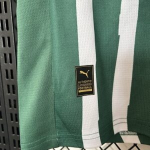 Camiseta Palmeiras 2023 Edición Especial — vista frontal de la camiseta doblada