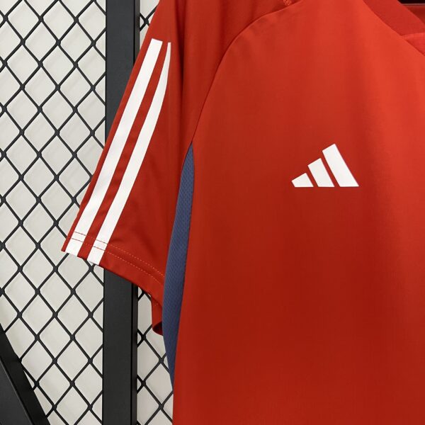Camiseta Cruzeiro 2024 Entrenamiento — vista profesional