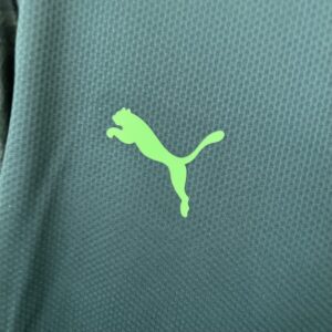 Camiseta Palmeiras 2021 Tercera