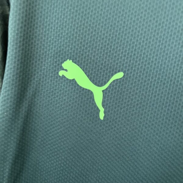 Camiseta Palmeiras 2021 Tercera