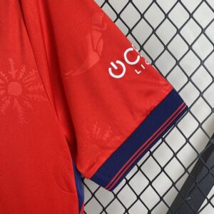 Camiseta Osasuna 2023/24 Local — detalle del diseño en el pecho