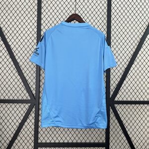 Camiseta Burgos CF 2024/25 Visita — detalle