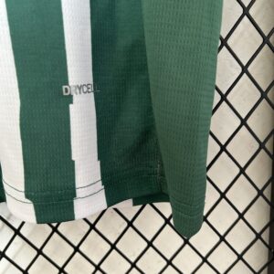 Camiseta Palmeiras 2023 Edición Especial — detalle de la calidad de impresión