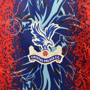 Camiseta Crystal Palace 2023 Local - detalle