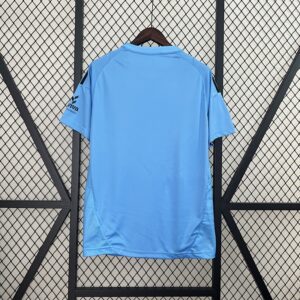 Camiseta Burgos CF 2024/25 Visita — detalle