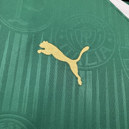 Camiseta Palmeiras 2023/24 Local — detalle