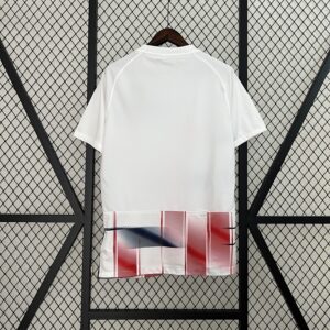 Camiseta San Lorenzo de Almagro 2023/24 Visita - detalle